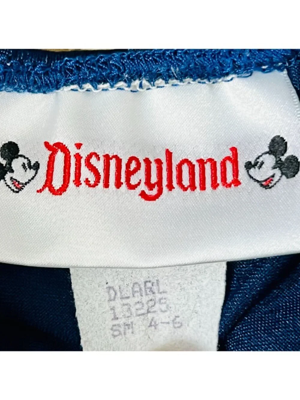 disneyland ✨dive under